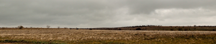 banner-0112