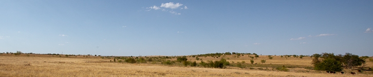 banner-9.11